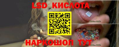 стафф Кузнецк