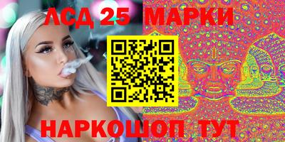 стафф Кузнецк