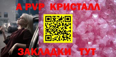 кокс Кудрово