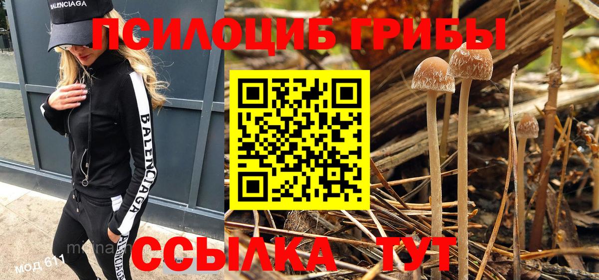 Галлюциногенные грибы ЛСД Добрянка